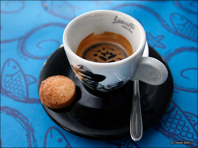 Caf� Espresso Lucaffe - Pez Quiero
